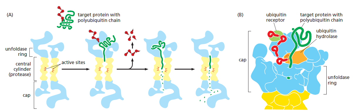 Figure 6-84.png